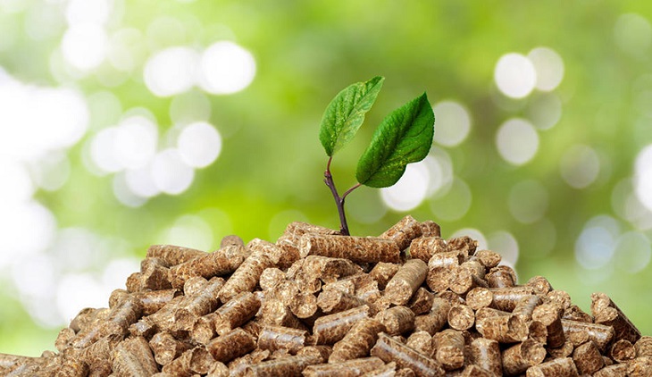 Czysta energia – Biomasa