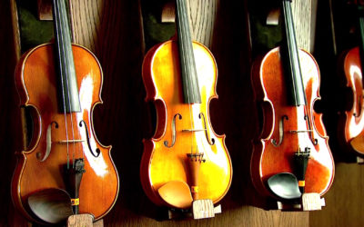 The Violin: Idiosyncrasies of a Perfect Creation