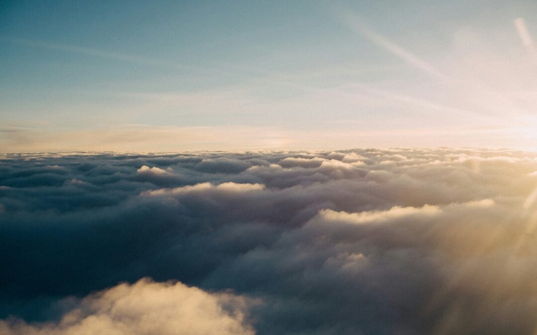 Różnorodność biologiczna – Atmosfera