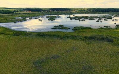 Różnorodność biologiczna – Cykl – CZĘŚĆ V
